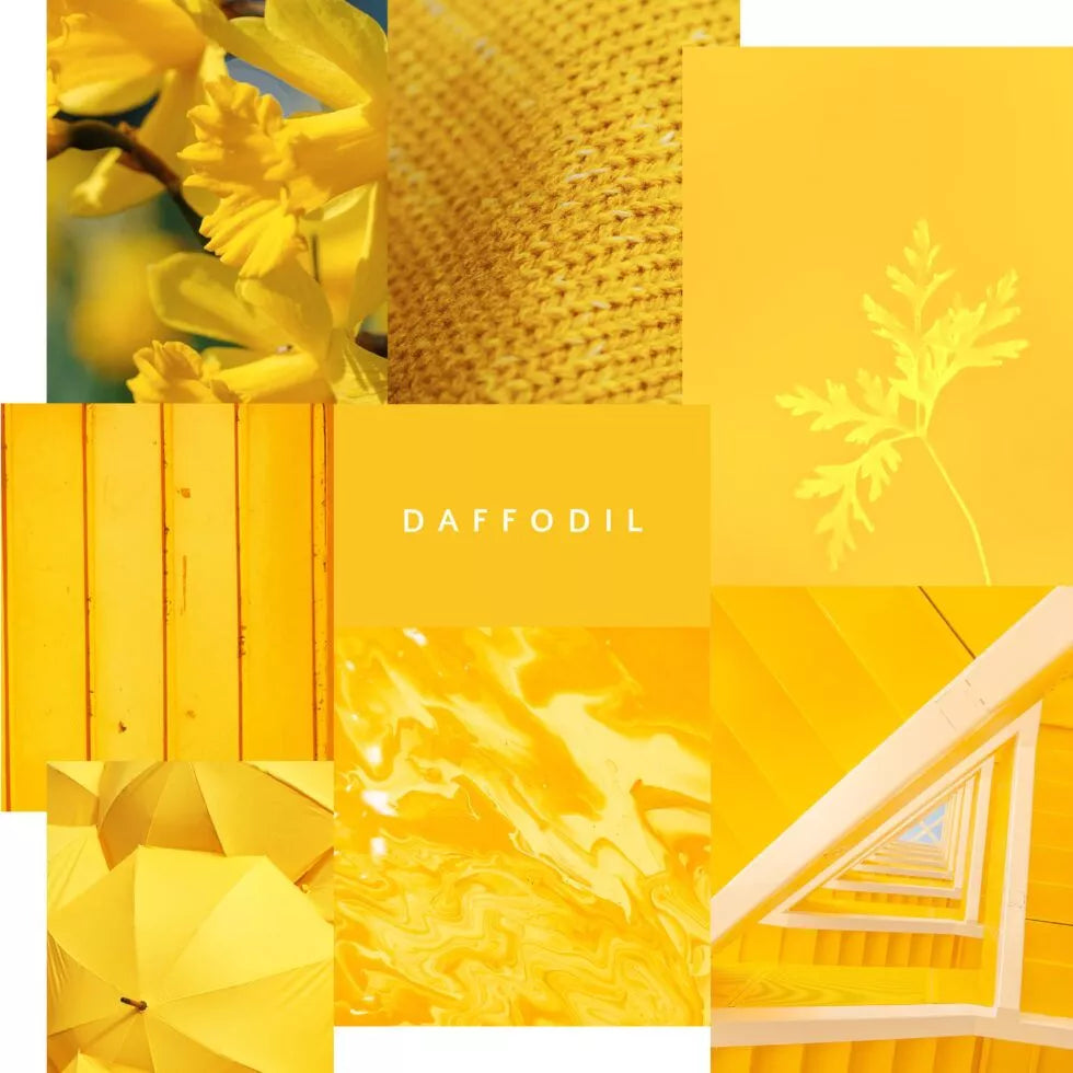Artisan Mineral Paint - Daffodil