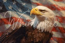 Whimsykel Decoupage Paper - Merica