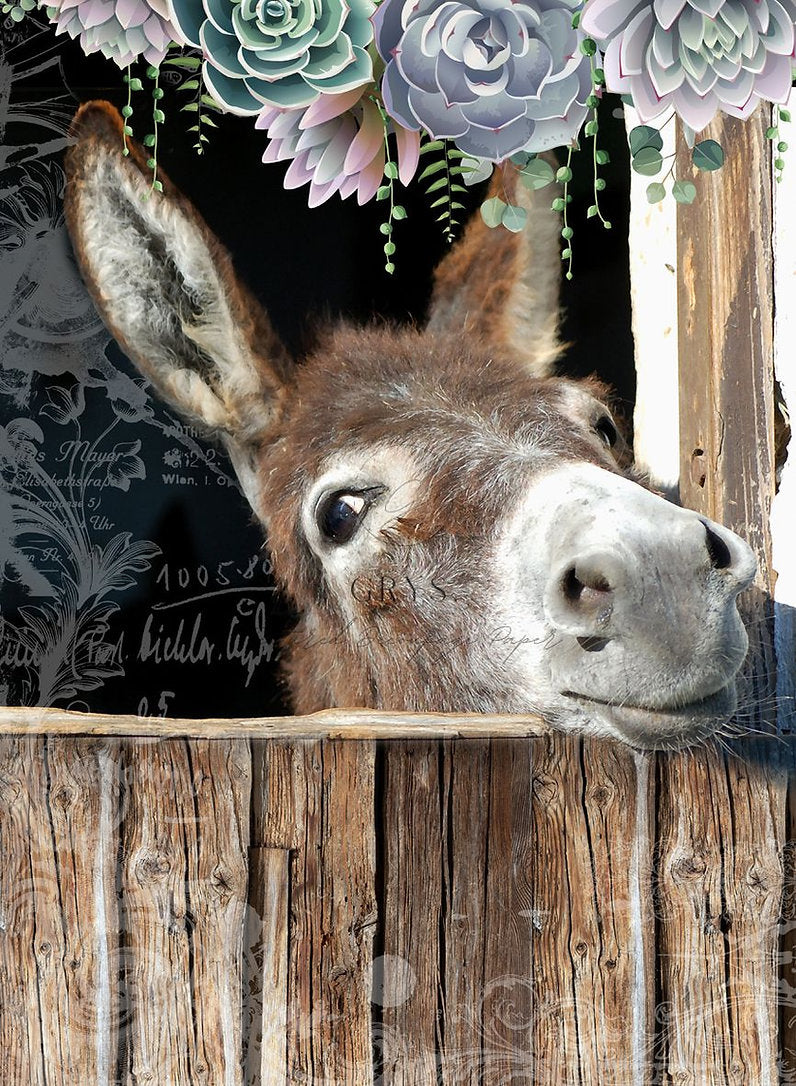 Grys Textured Decoupage Paper - Ee Aw Donkey